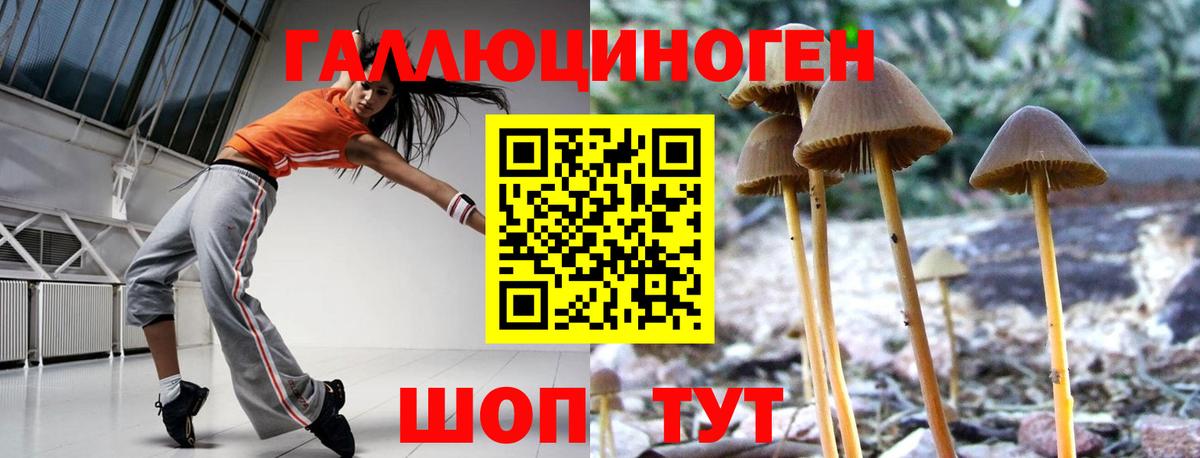 Псилоцибиновые грибы мицелий Людиново
